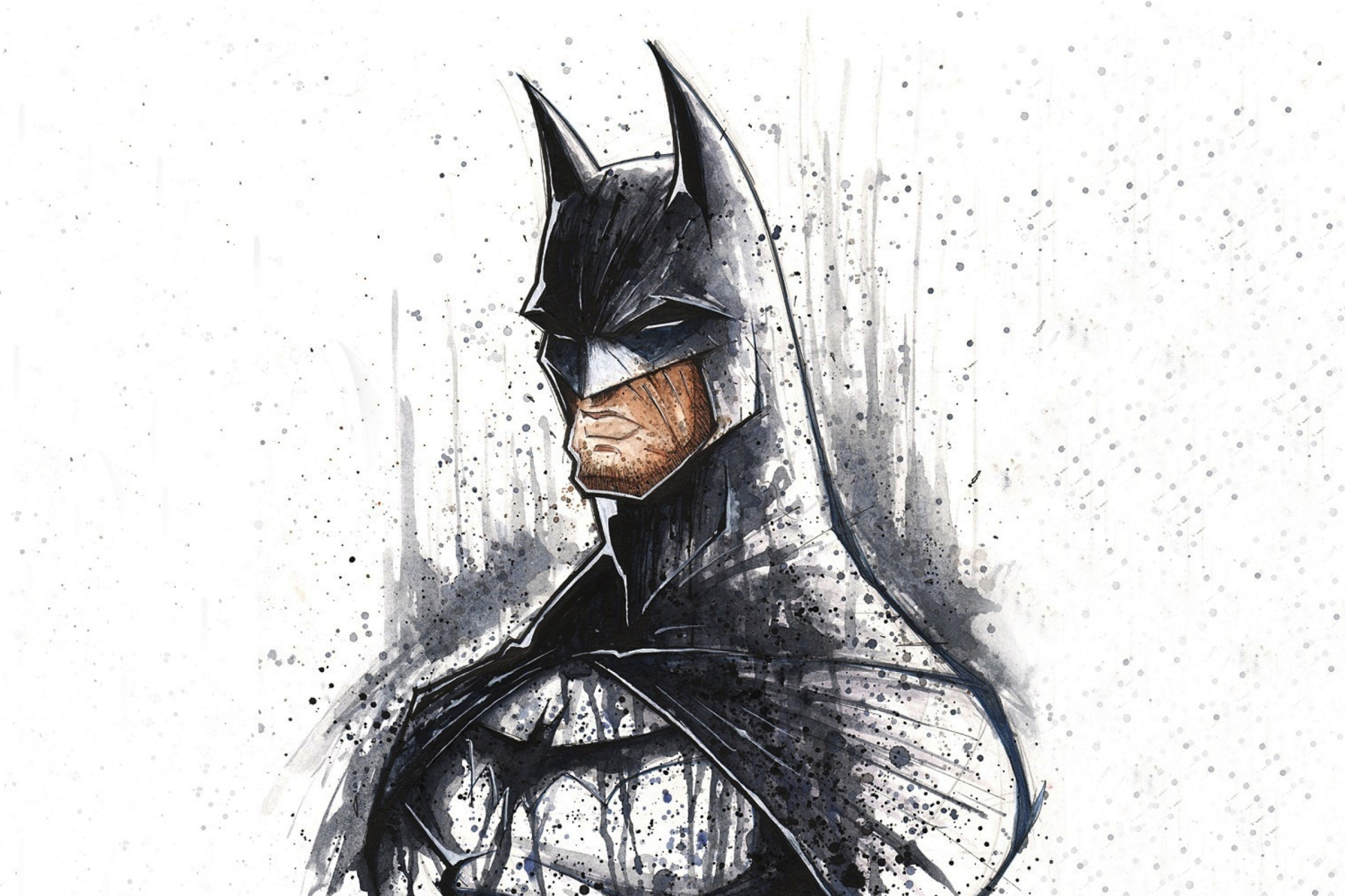Batman Illustration screenshot #1 2880x1920