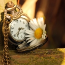 Das Vintage Watch And Daisy Wallpaper 128x128