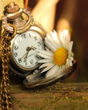 Vintage Watch And Daisy wallpaper 128x160