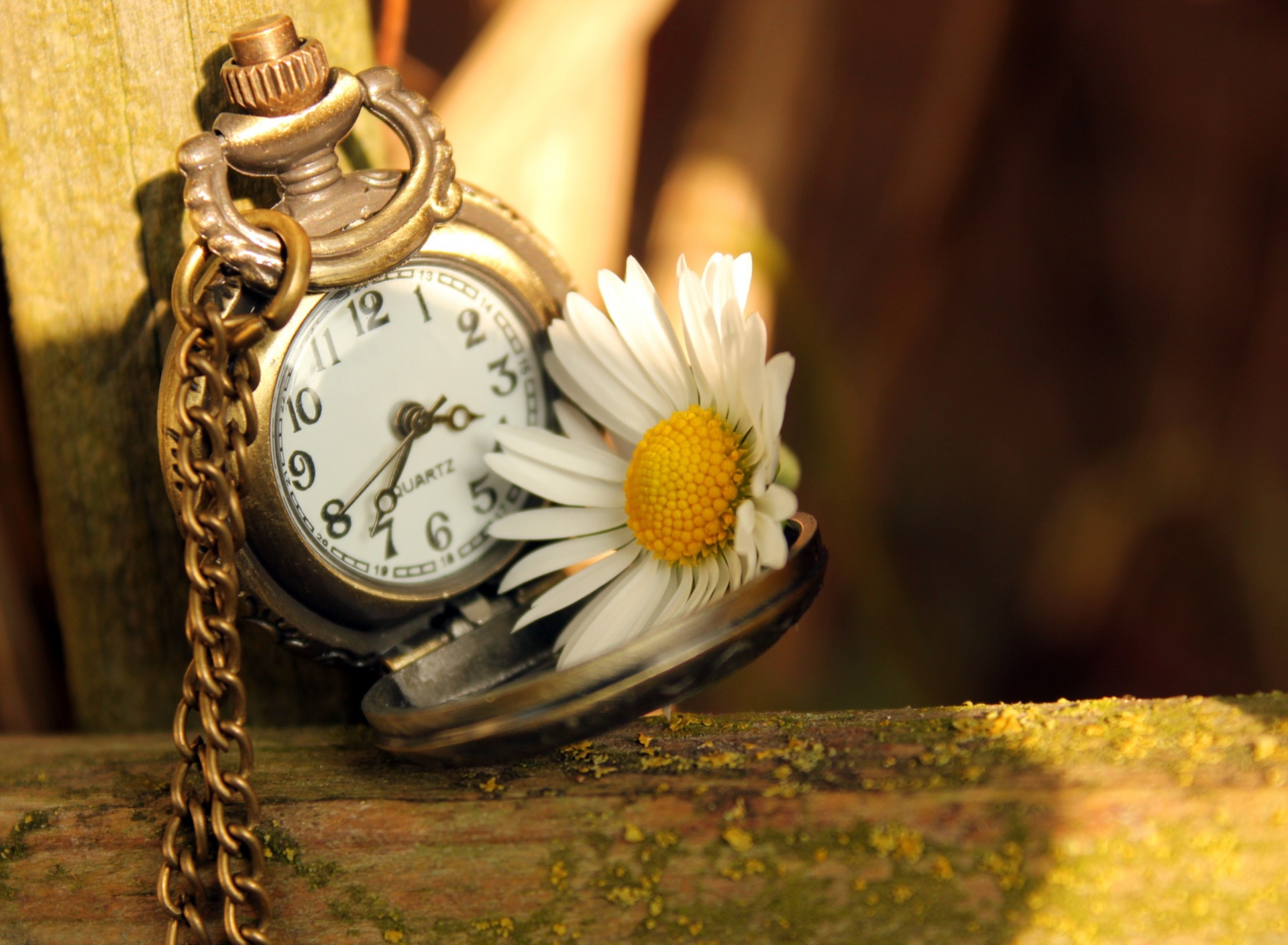 Das Vintage Watch And Daisy Wallpaper 1920x1408
