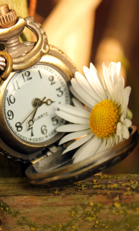 Das Vintage Watch And Daisy Wallpaper 480x800