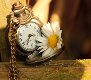 Vintage Watch And Daisy Wallpaper for iPad mini