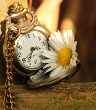 Vintage Watch And Daisy - Obrázkek zdarma pro 750x1334
