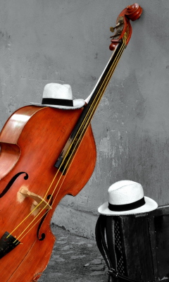 Contrabass And Hat On Street wallpaper 240x400