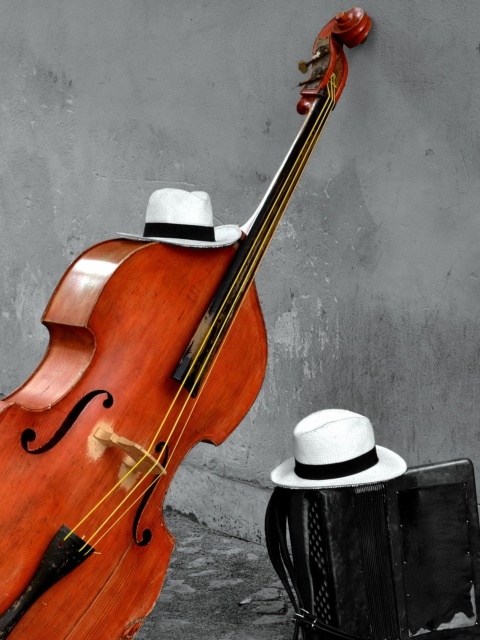 Contrabass And Hat On Street wallpaper 480x640
