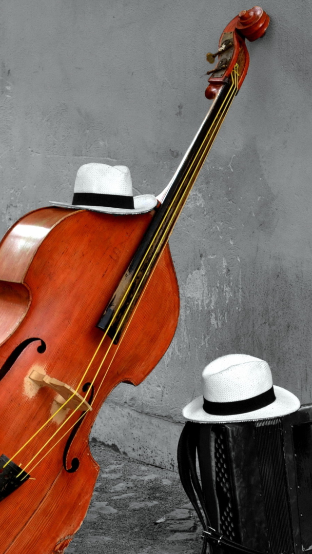 Contrabass And Hat On Street wallpaper 640x1136