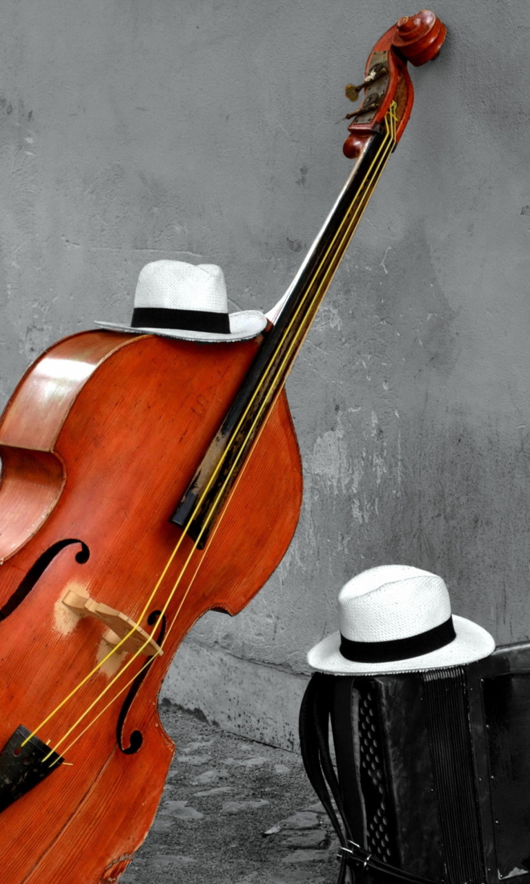 Contrabass And Hat On Street wallpaper 768x1280