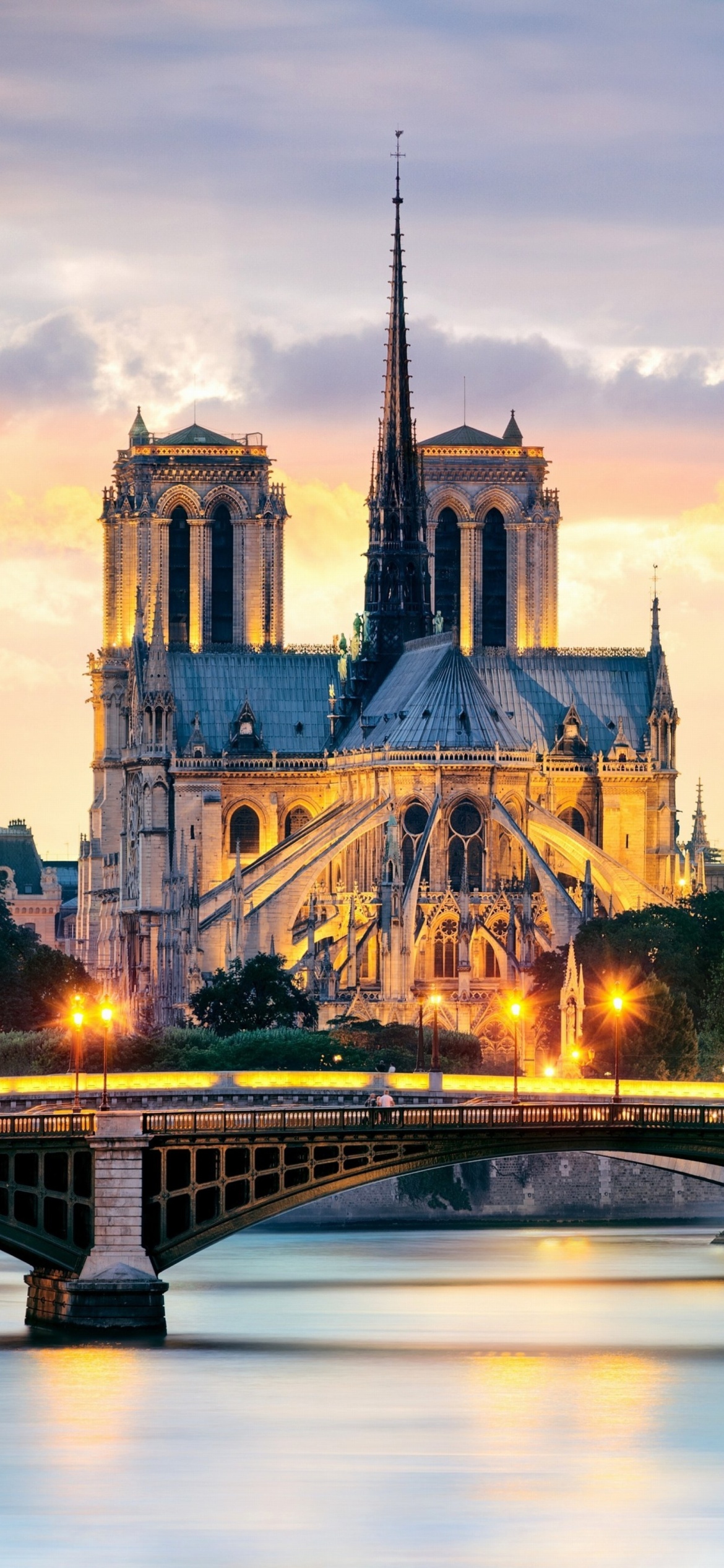 Notre Dame de Paris Catholic Cathedral wallpaper 1170x2532