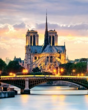 Fondo de pantalla Notre Dame de Paris Catholic Cathedral 176x220