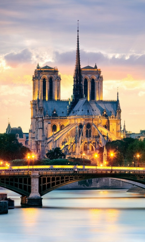 Fondo de pantalla Notre Dame de Paris Catholic Cathedral 480x800