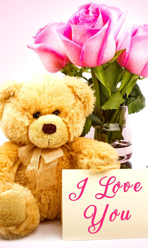 Обои Valentines Day, Teddy Bear 480x800