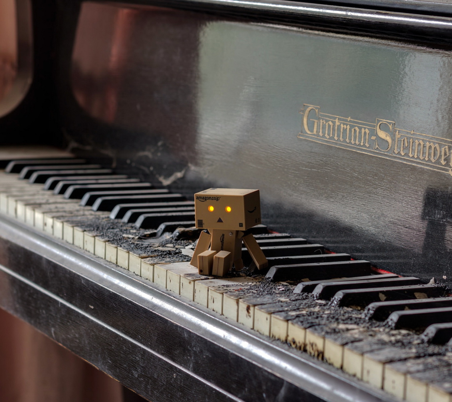 Danbo Pianist wallpaper 1440x1280