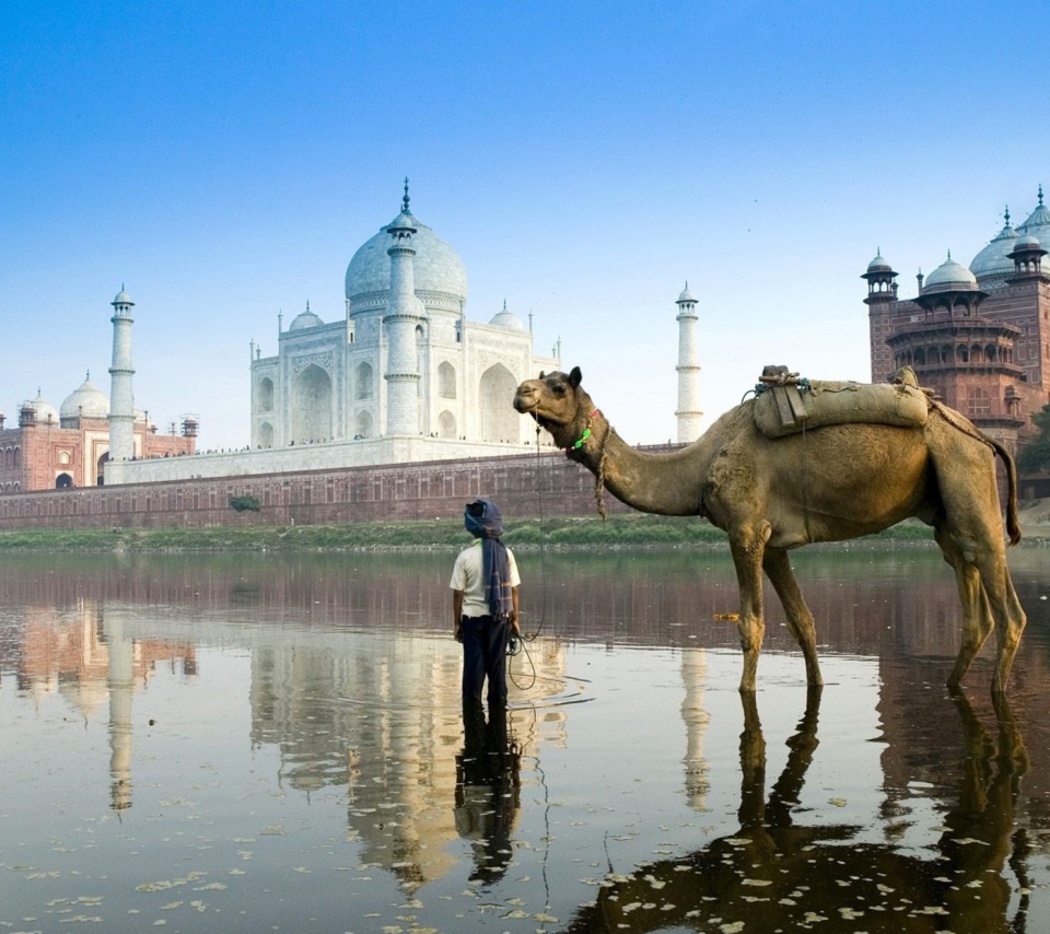 Screenshot №1 pro téma Camel Near Taj Mahal 960x854
