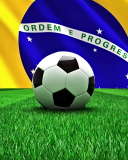 Das World Cup 2014 Brazil Wallpaper 128x160