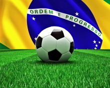 Das World Cup 2014 Brazil Wallpaper 220x176