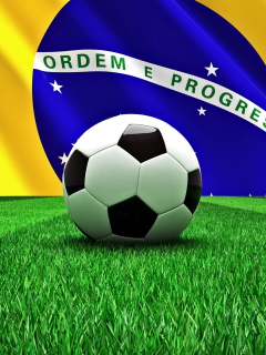 Das World Cup 2014 Brazil Wallpaper 240x320