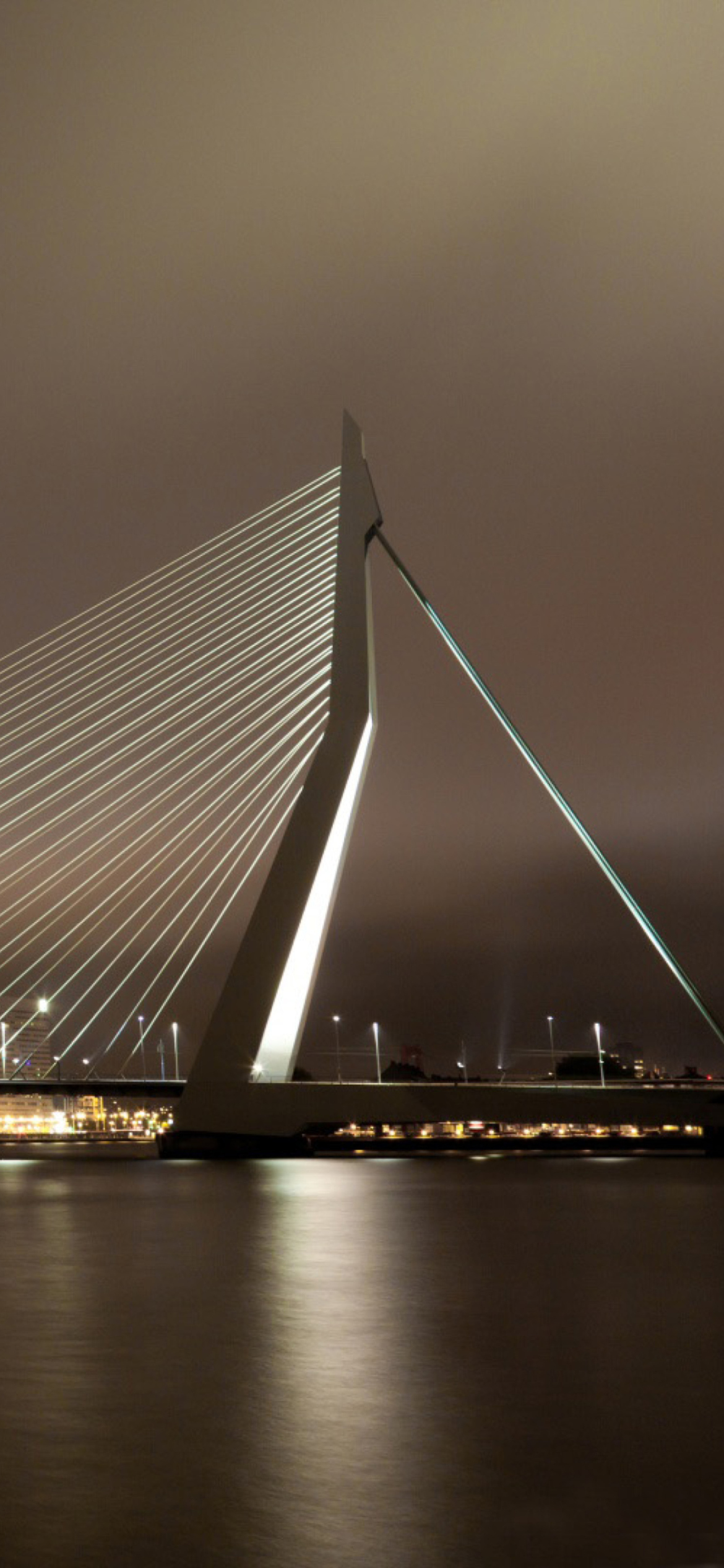 Fondo de pantalla Erasmus Bridge Rotterdam 1170x2532