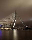 Das Erasmus Bridge Rotterdam Wallpaper 128x160