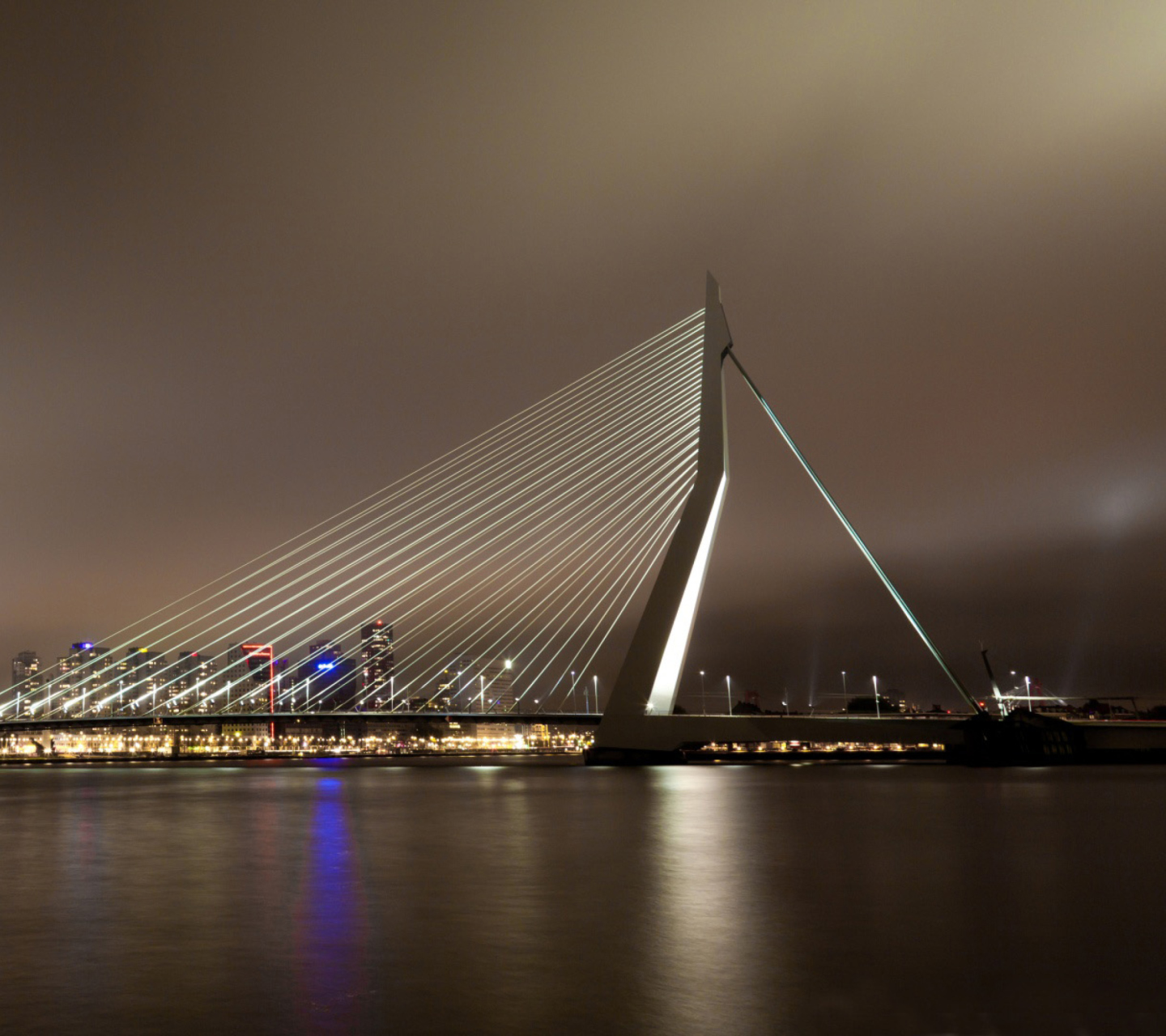 Das Erasmus Bridge Rotterdam Wallpaper 1440x1280