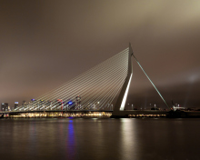 Erasmus Bridge Rotterdam wallpaper 220x176