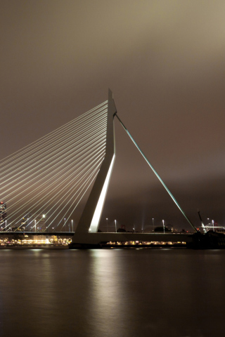 Fondo de pantalla Erasmus Bridge Rotterdam 320x480