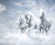 Fondo de pantalla Sky Horses 176x144
