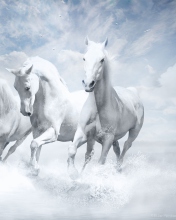 Fondo de pantalla Sky Horses 176x220