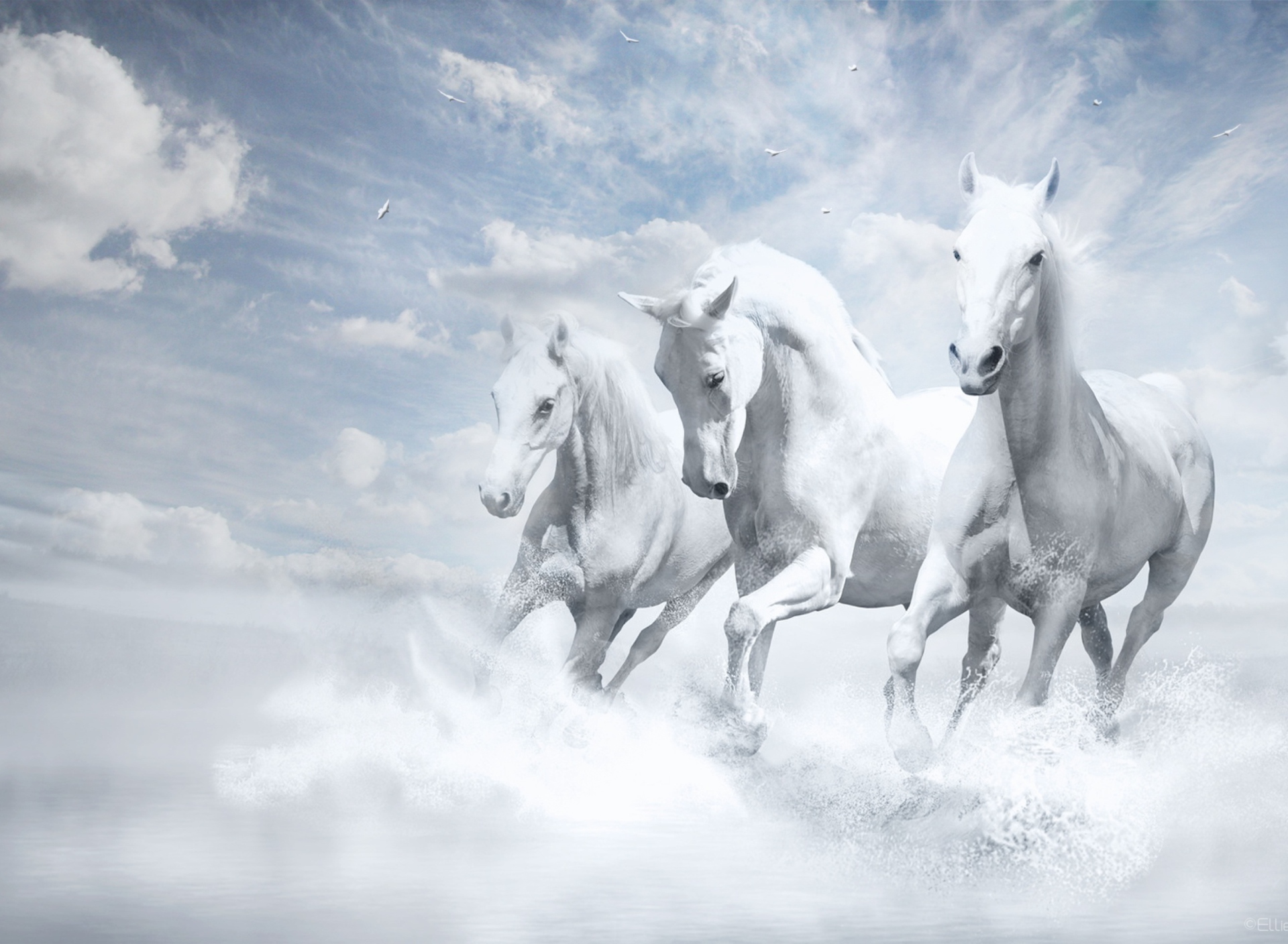 Sky Horses screenshot #1 1920x1408