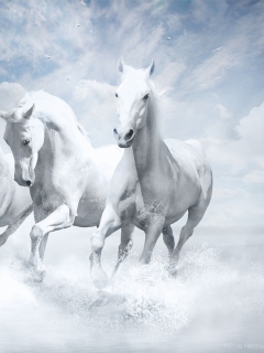 Sky Horses wallpaper 240x320