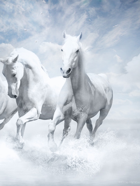 Sky Horses screenshot #1 480x640