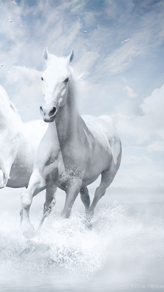 Sfondi Sky Horses 640x1136