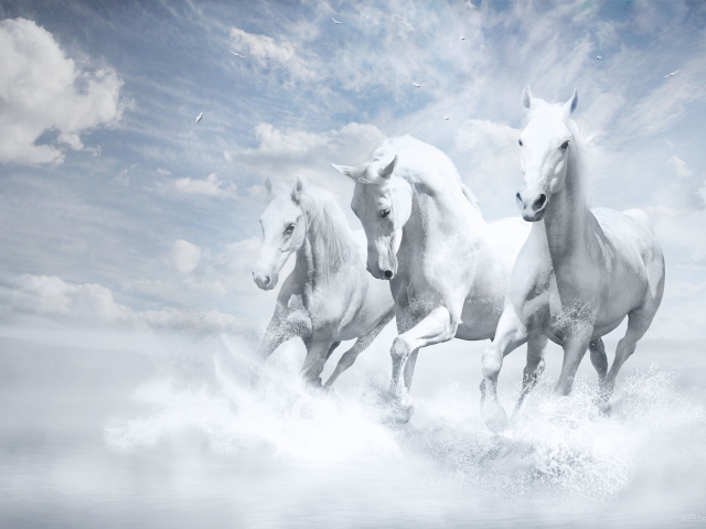 Fondo de pantalla Sky Horses 640x480