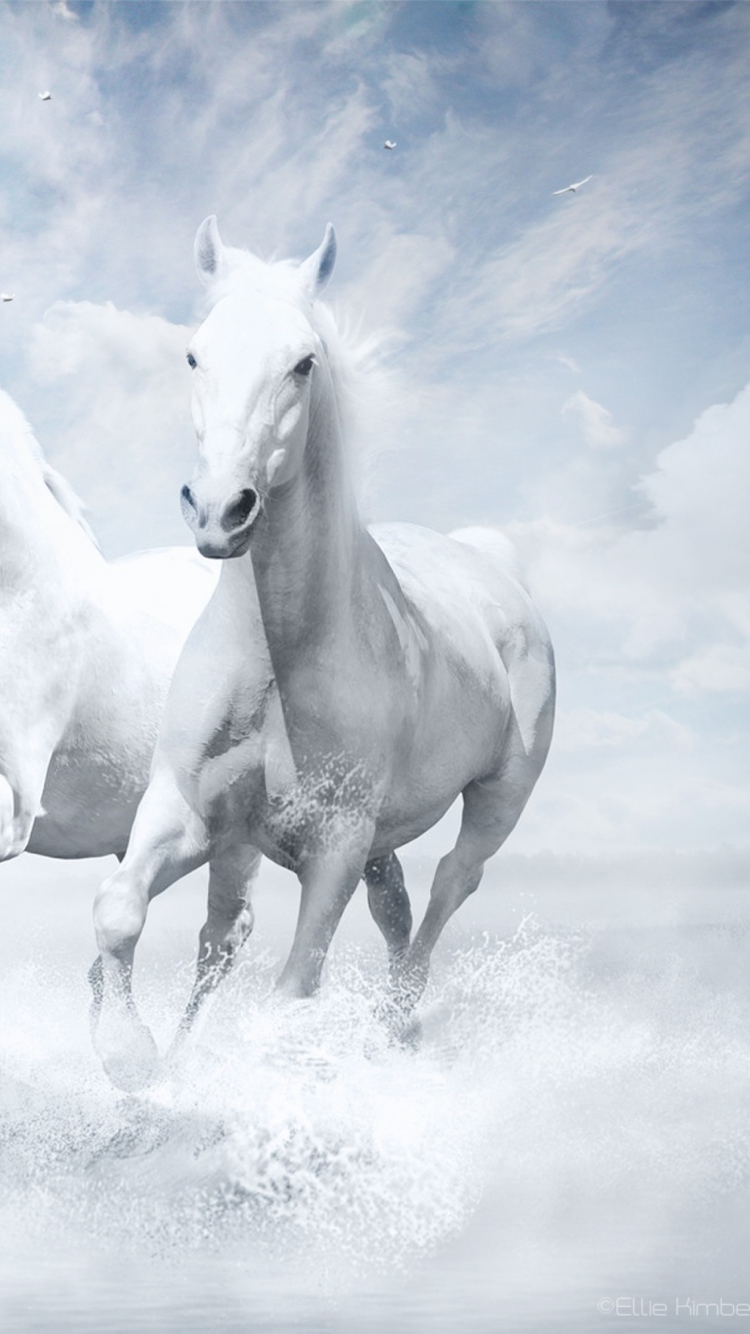 Das Sky Horses Wallpaper 750x1334