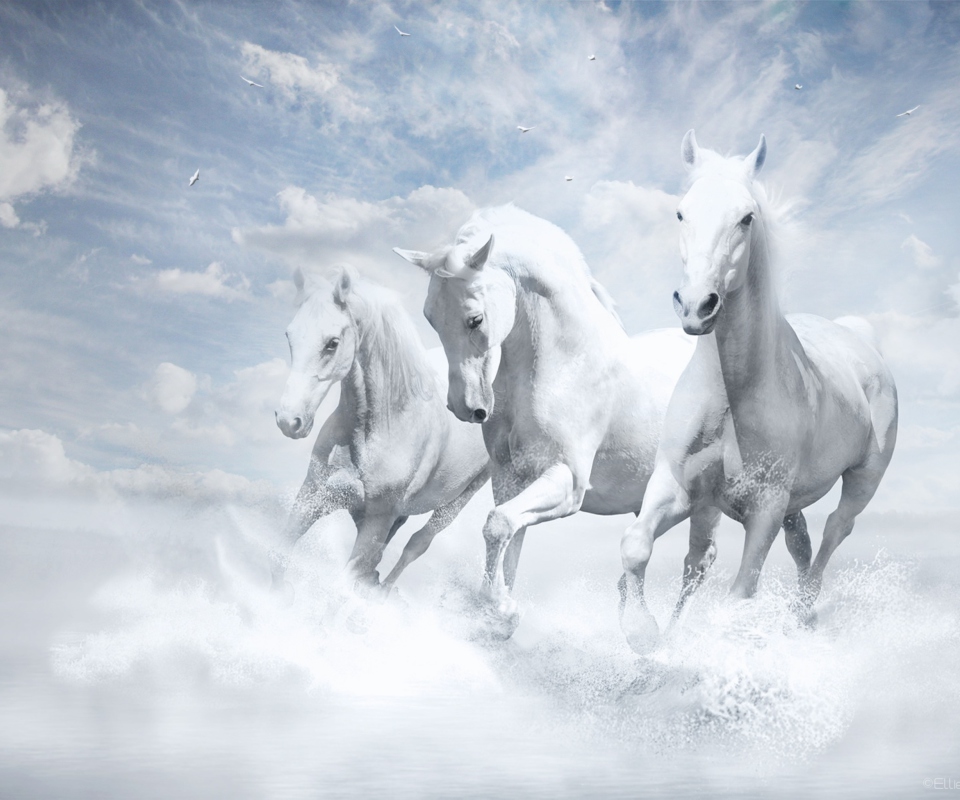 Das Sky Horses Wallpaper 960x800