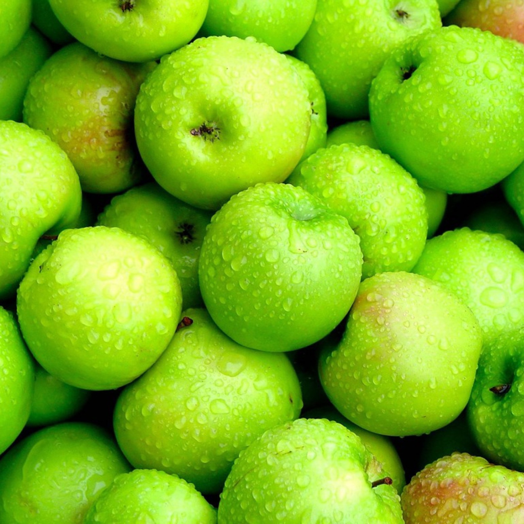 Green Apples wallpaper 1024x1024