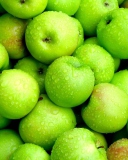 Green Apples wallpaper 128x160