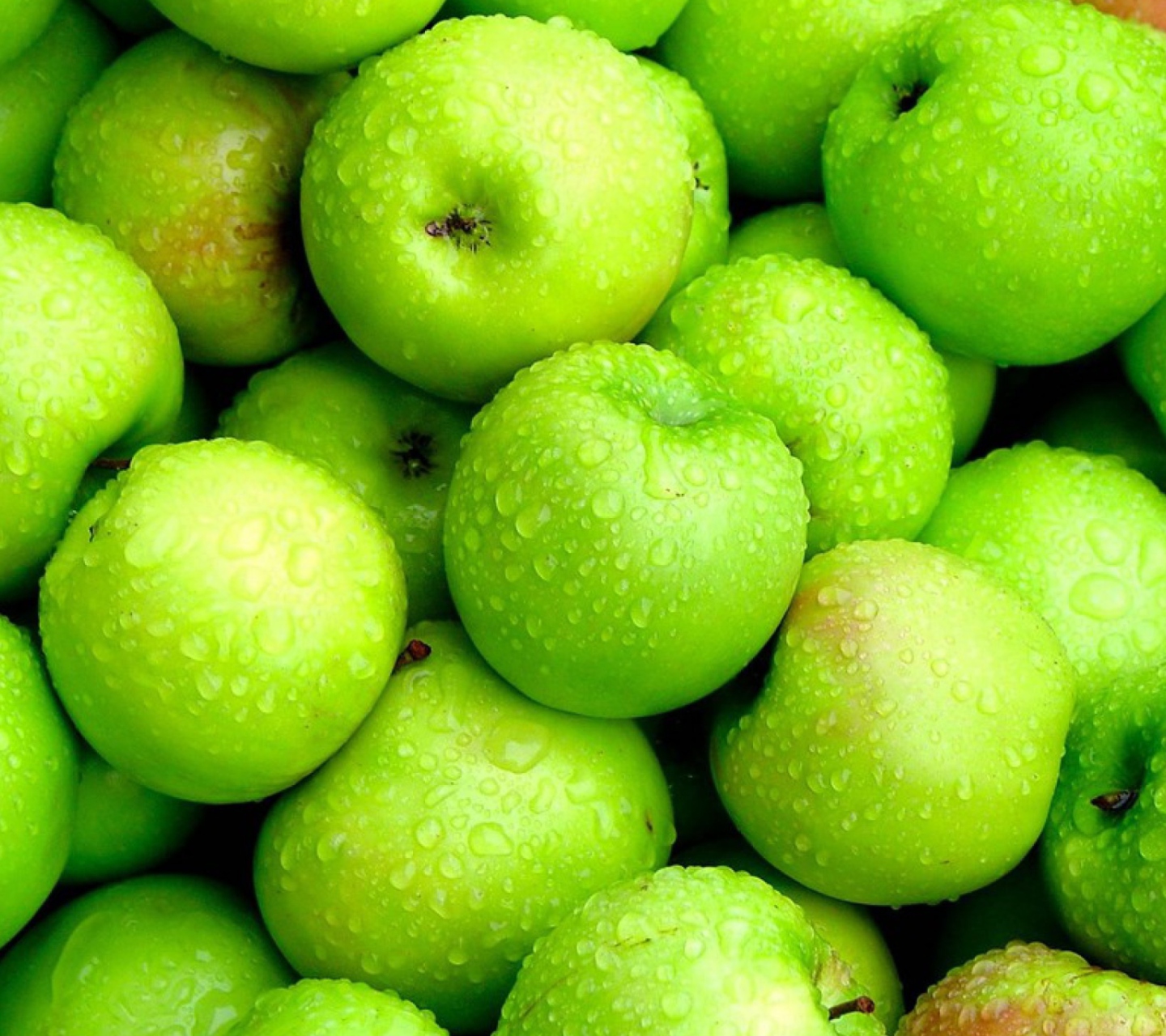 Обои Green Apples 1440x1280