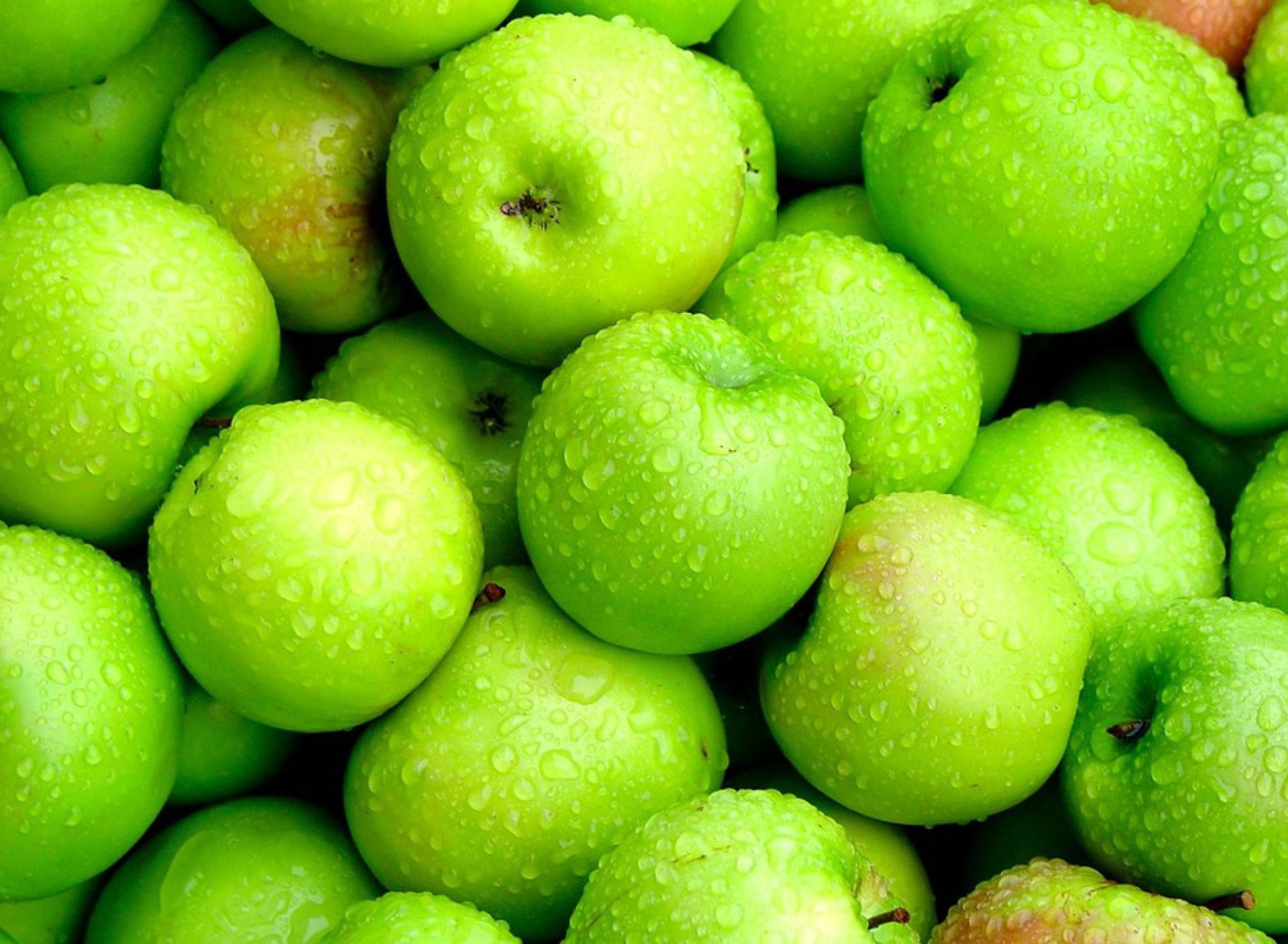 Обои Green Apples 1920x1408