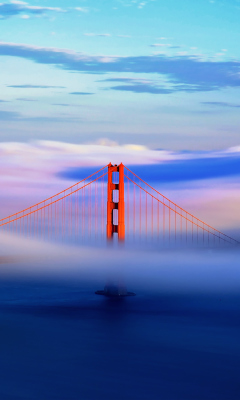 Обои San Francisco Golden Gate 240x400