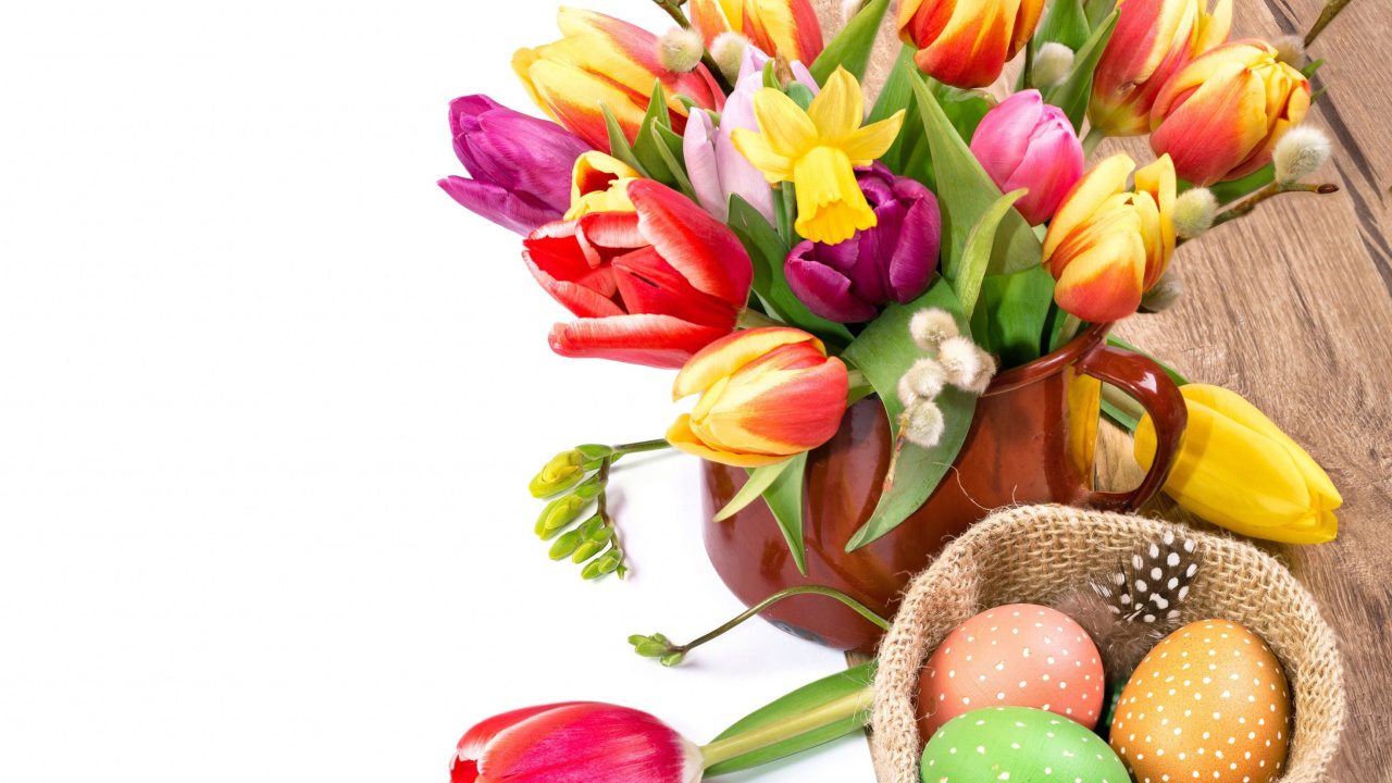 Fondo de pantalla Freshness Tulips 1280x720