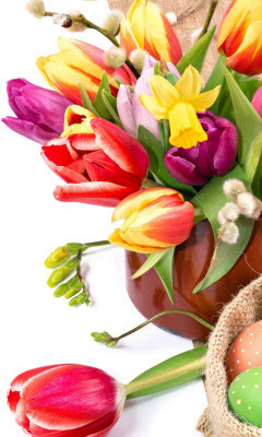 Fondo de pantalla Freshness Tulips 240x400