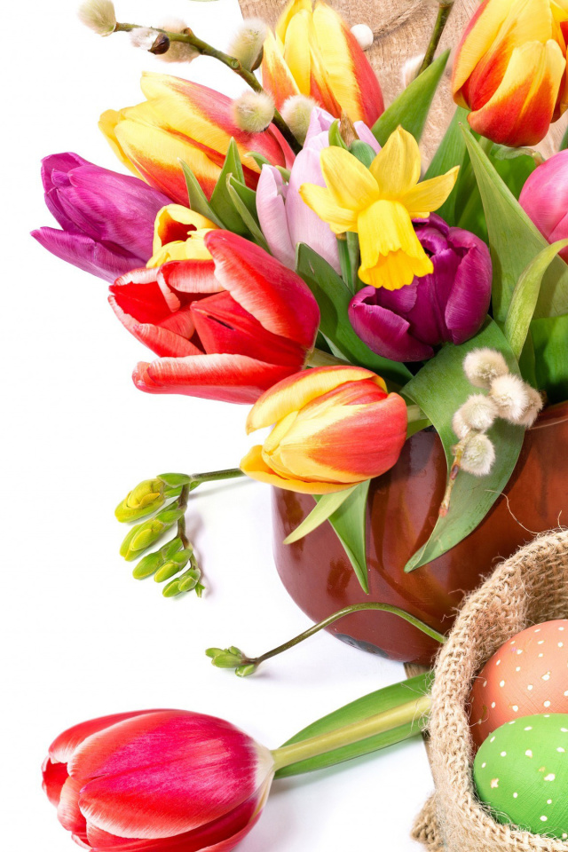 Das Freshness Tulips Wallpaper 640x960