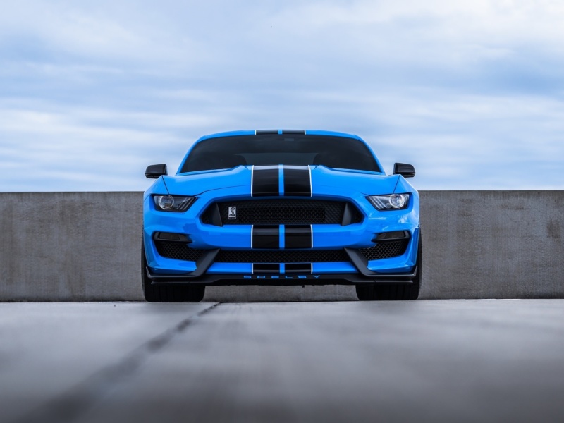 2019 Ford Mustang GT Convertible screenshot #1 800x600