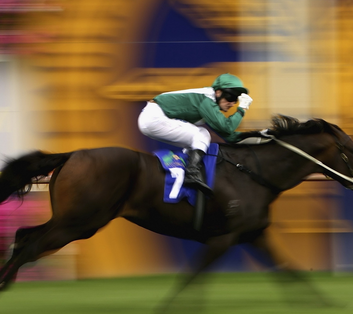 Horse Racing wallpaper 1440x1280