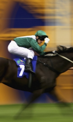 Fondo de pantalla Horse Racing 240x400