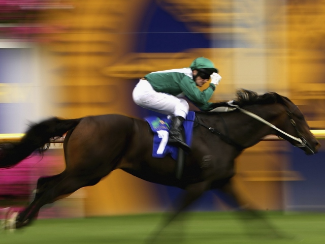 Das Horse Racing Wallpaper 640x480