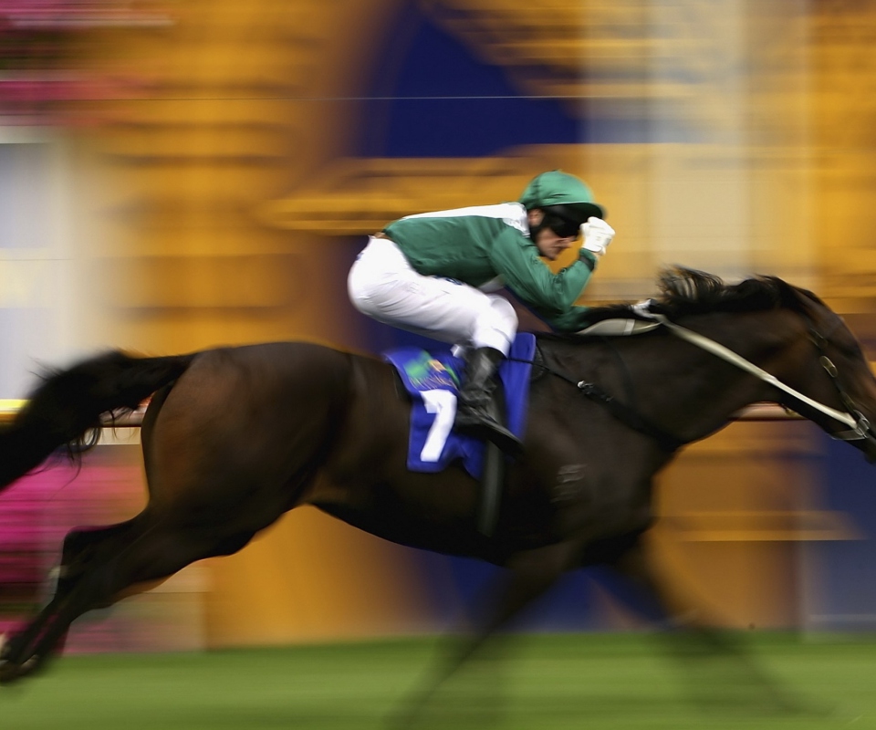 Horse Racing wallpaper 960x800