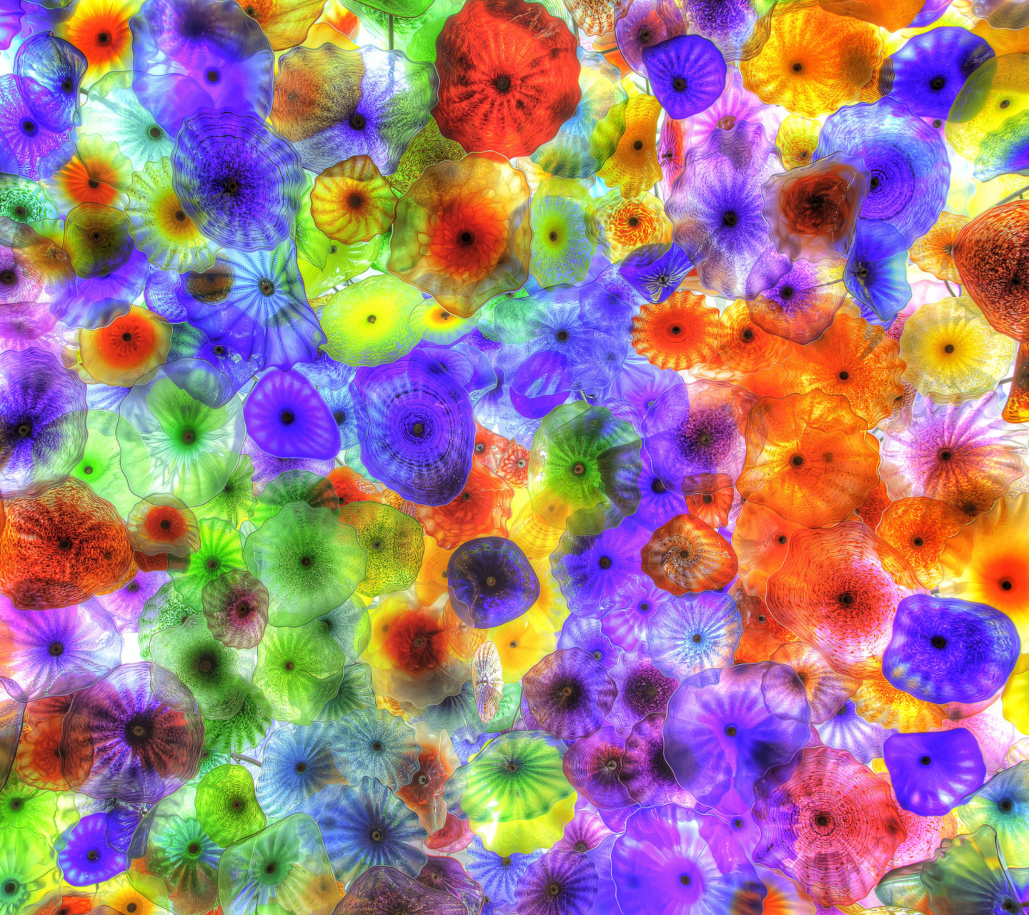 Colorful Glass Design wallpaper 1440x1280