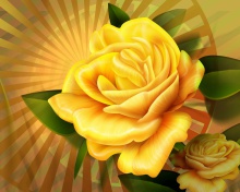 Two yellow flowers wallpaper 220x176