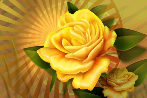 Das Two yellow flowers Wallpaper 480x320